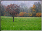 foto Paesaggi Autunnali tra le Colline 